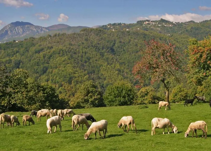 Il Lonfo Feriehus